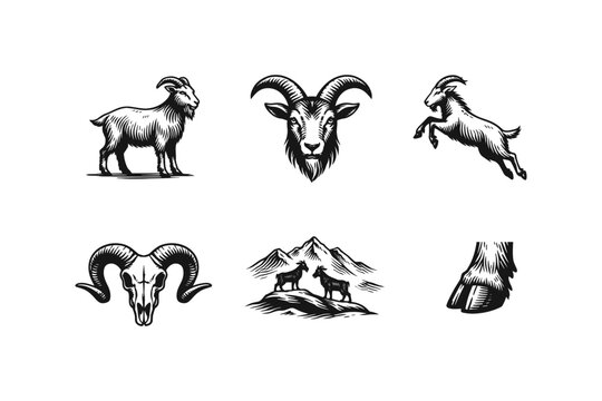 Collection of stylized goat illustrations in a vintage woodcut art style