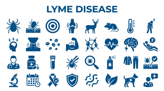 Lyme Disease Symptoms Causes Prevention Diagnosis Treatment Icons Set