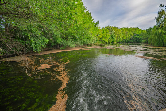 View of a flowing river with green algae, surrounded by lush trees under a cloudy sky, creating a serene nature scene, Dunajsky Klatov, Slovakia.