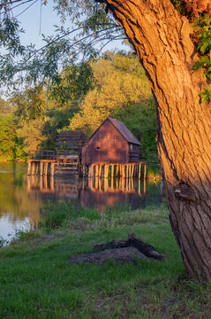 View of a rustic wooden house standing on stilts in a serene lake, framed by the warm glow of sunset and a textured tree trunk, Tomasikovo, Slovakia.