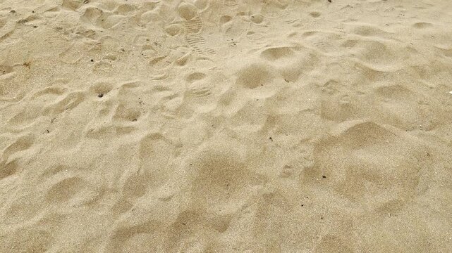 Soft golden sand covers the ground with scattered footprints and gentle ripples. The textured surface creates a peaceful, grounded feeling of a walk by the sea. It a simple and natural coastal detail.