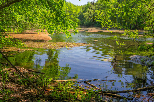 View of a tranquil pond reflecting the vibrant green canopy above, with fallen logs framing the scene, creating a serene natural tableau, Dunajsky Klatov, Trnava Region, Slovakia.