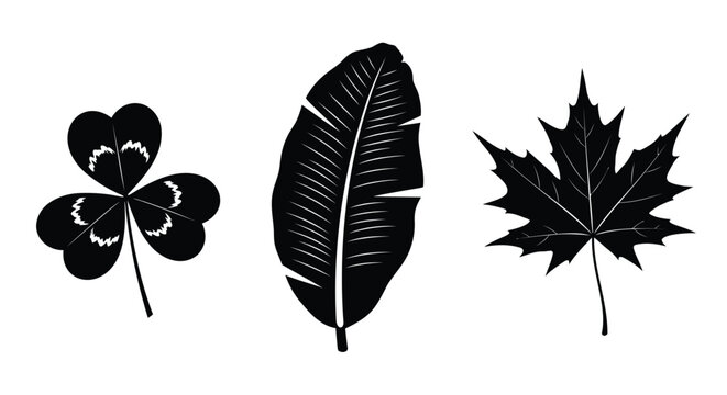 Black leaf icons, four leaf clover, feather, maple leaf, vector graphics