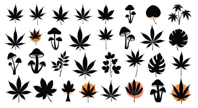 Collection of black silhouettes of different plant leaves and mushrooms with decorative orange circles on a plain white background.
