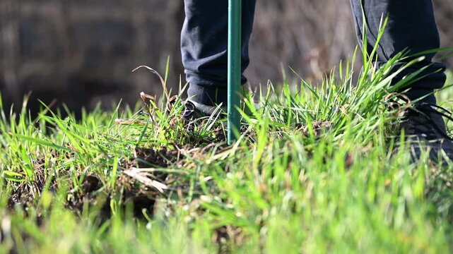 A scene with a soil drilling with an auger tool outdoors, digging a planting hole in a natural setting.
