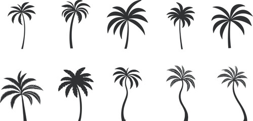 Palm tree silhouette set with various tropical shapes and curved trunks. Black minimal collection ideal for summer travel beach themes and island design branding. Clean vector illustration elements. © Parul