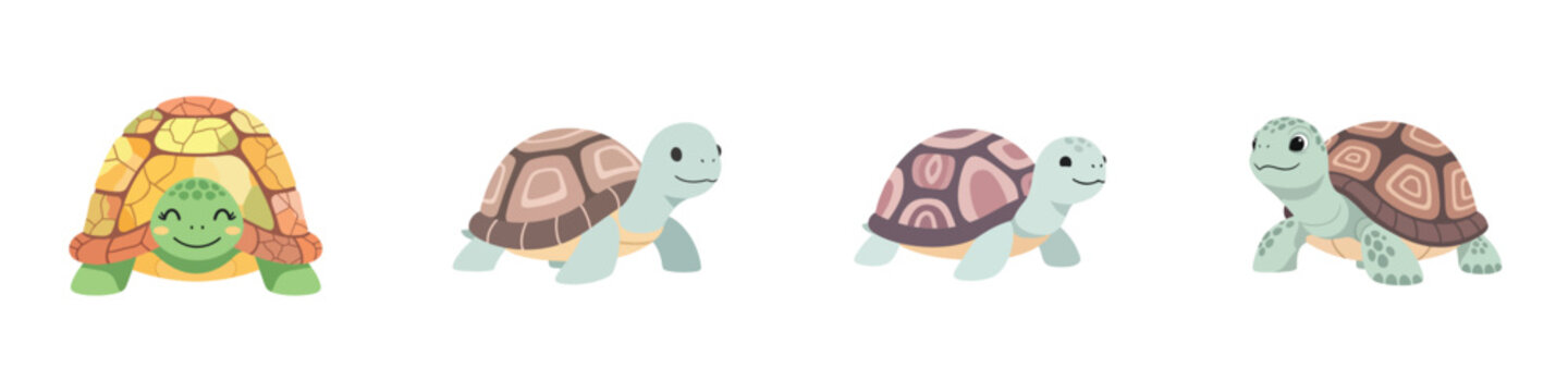 A minimalist illustration of a smiling turtle featuring a decorative shell, gentle tones, outline-free, on white.