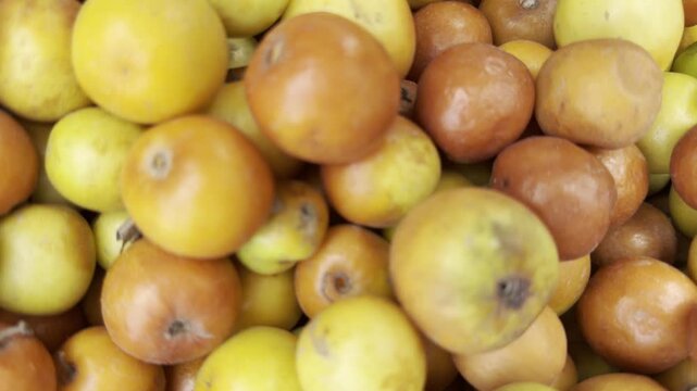 A pile of fresh ripe jujube fruits with yellow and brown skin at a local traditional market, organic tropical fruit close up