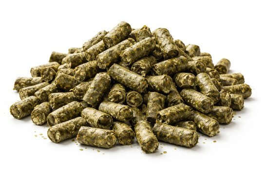 Collection of alfalfa pellets photographed on a smooth white background