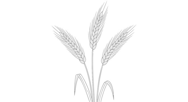 Wheat, grain, agricultural icons, vector graphics, farm symbols