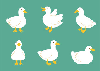 Cute white duck poses set. Happy goose collection. Adorable cartoon duck bundle. © Sonium_art