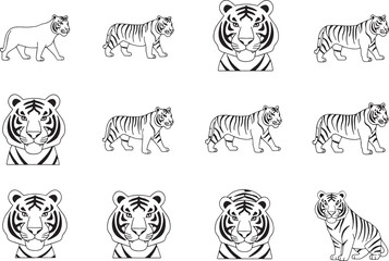 Fototapeta premium Collection of twelve black and white line of tigers in various poses animal wildlife big cat feline
