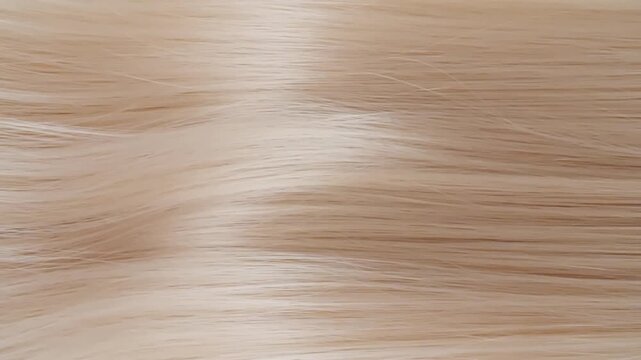 Closeup texture of Beautiful Long Smooth Flowing Blonde Hair Blowing in the Wind in Slow Motion. Natural hair care concept and barbershop or hairdressing. Beauty and Glamour. Healthy Shiny Hairs. 