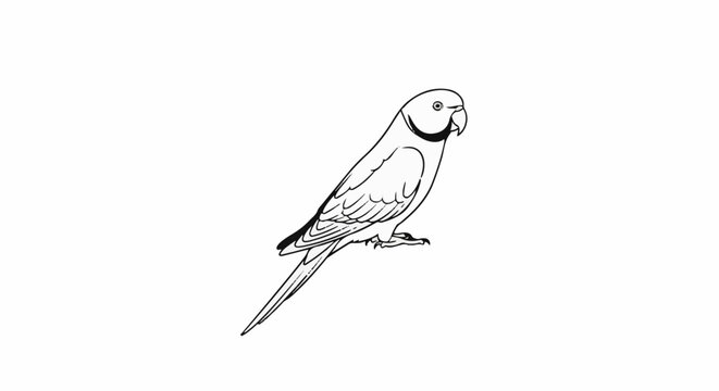 A black and white line drawing of a single parrot standing on a surface