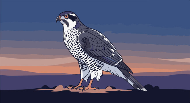 A bird of prey stands on a rocky outcrop against a dusky sky