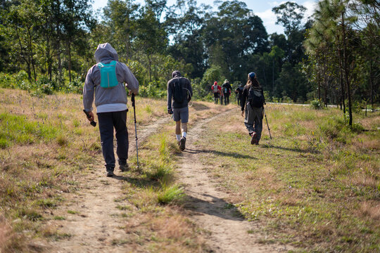 Hiking adventure through scenic trails nature reserve group activity outdoor side view exploration and connection