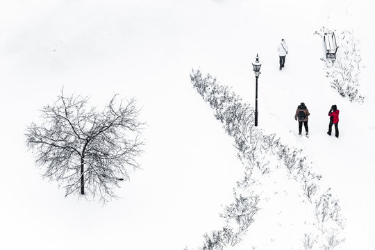 View of a snowy landscape where figures in dark coats and a bright red jacket traverse a path lined with snow-covered bushes, contrasting against the stark white ground, Tallinn, Estonia.