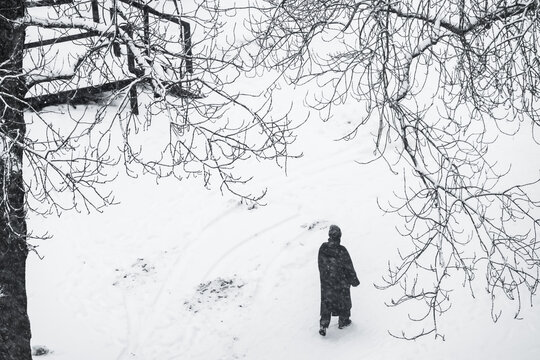 View of a solitary figure trudging through a snow-laden path framed by stark, skeletal tree branches under a sky heavy with winter's breath, Tallinn, Estonia.