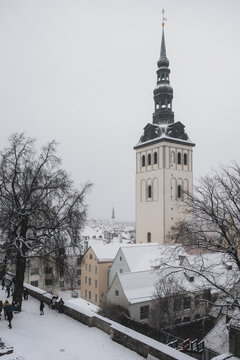 View of St. Olaf's Church steeple piercing through the snow-laden rooftops, a stark contrast against the muted winter sky, Tallinn, Estonia.