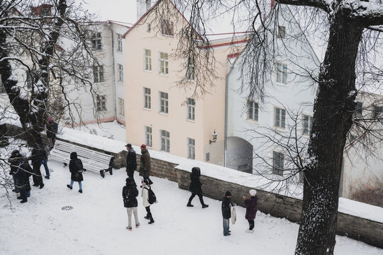 View of people walk along a snow-covered path beside weathered stone walls and pastel buildings under the bare branches of winter trees, Tallinn, Estonia.
