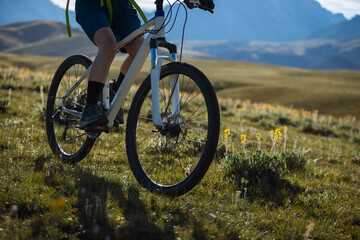 Fototapeta premium Mountain bike on flowering grassland mountains
