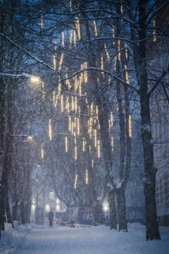 View of snow falling softly, illuminating trees adorned with strings of warm lights casting a gentle glow on the snowy path, Tallinn, Estonia.