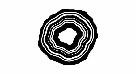 Fototapeta premium Black and White Agate Slice.