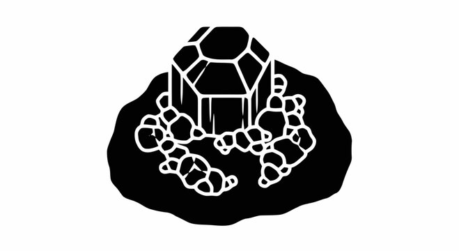 Black and white turtle shell.