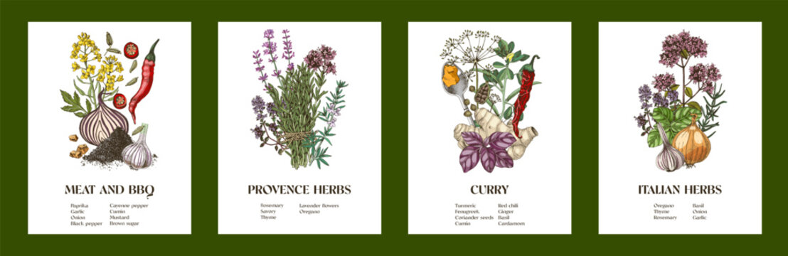 Hand drawn vector collection of classic spice blends