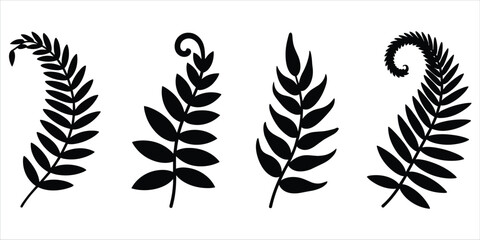 Fern Leaf Silhouettes Various Frond Shapes and Styles vector untitled © ripon29