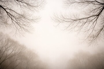 Fototapeta premium Calm nature composition showing stark bare branches over a subtle neutral background ideal for text areas