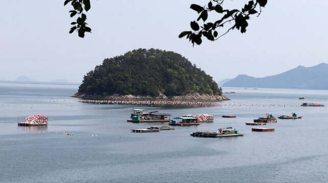 Coastal Fish Farm and Shellfish Breeding with Fishing Nets and Platforms
