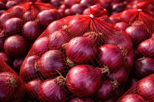 Close up of fresh red onions secured in net bags for agricultural export