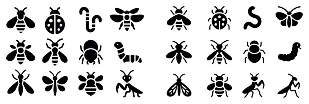 Insect icons with bee caterpillar butterfly silhouette