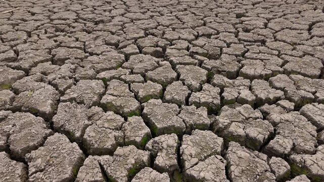 Close-up of erosion of soil in fields during drought, is impact of climate change on landscape. Ground is deeply cracked from prolonged drought. Arid, cracking earth is parched from lack of moisture