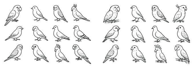 Obraz premium Bird icons with parrot cockatiel budgie outline