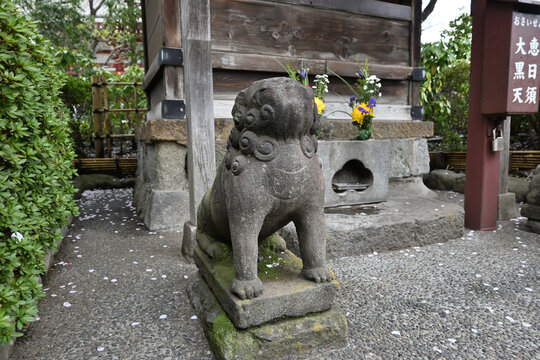 浅草寺 狛犬像 斜めからのアングル 寺院の風景