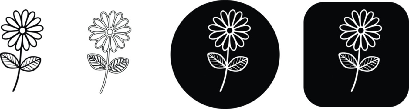 Set of zinnia flower line art icons with various outline styles and backgrounds, real image, no blur, clear image, hd, full hd, photos, isolated white background.