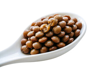 Obraz premium Cooked Brown Lentils in a White Ceramic Spoon, Macro Detail Isolated on a Pure White Background.