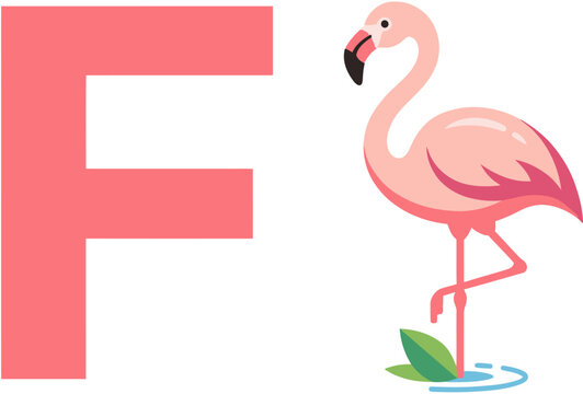 Vibrant pink flamingo illustration standing next to the capital letter F, a charming visual aid for alphabet learning and early childhood education resources and materials