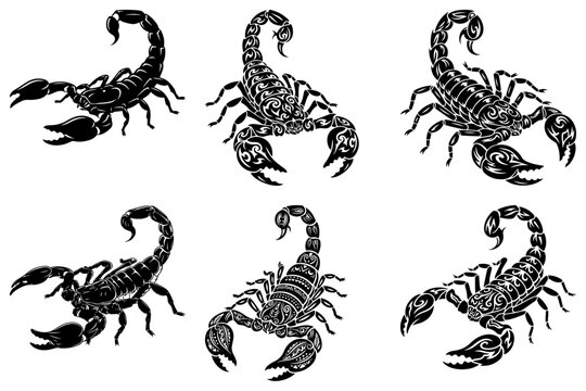Scorpion silhouette vector illustration Designs