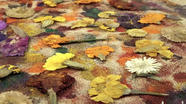Flat dried flowers arrangements, floral fantasy.  Dried aster and marigold flowers lie on the a beige burlap cloth with abstract painting, background, side view 