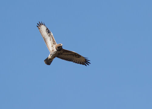 Buse variable en vol plan&eacute;