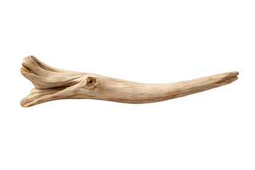 Obraz premium Natural Driftwood Branch Isolated on White Background 