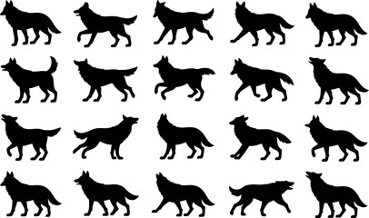 Fototapeta premium Collection of dynamic black wolf silhouettes in various running and howling poses isolated on white background