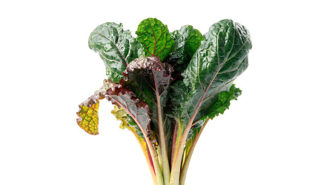 Fresh chard with green leaves and stems isolated on transparent background