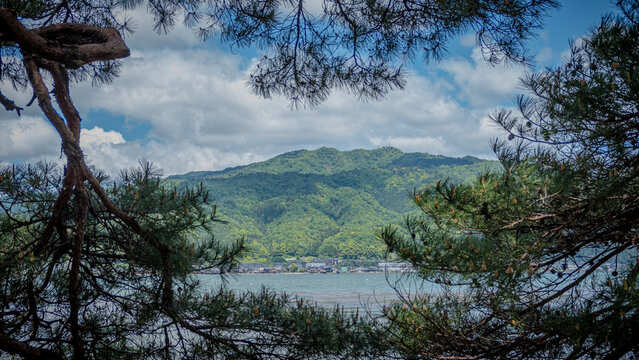 A hill seen through foliage near Amanohashidate, Japan