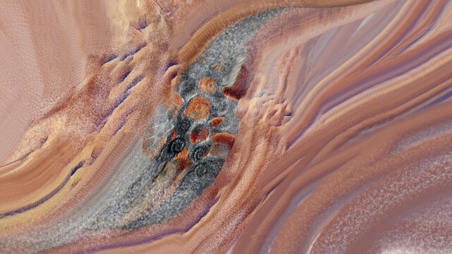 Abstract digital art featuring intricate ammonite fossils on a textured sandstone and grey mineral background.