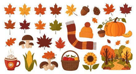 Autumn Leaves, Mushrooms, and Harvest Elements Vector Illustration © Wa