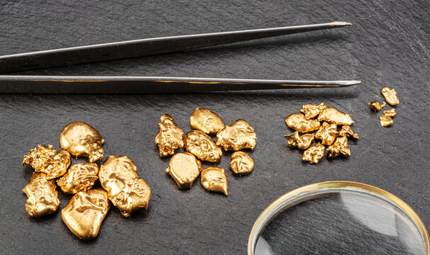 Pieces of gold nuggets, tweezers and magnifying glass against a background of gold nuggets on a dark background.